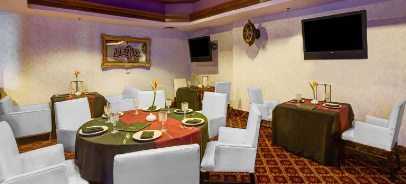 霍桑洛杉矶国际机场华美达酒店(Ramada by Wyndham Hawthorne LAX / LA Stadium)图片