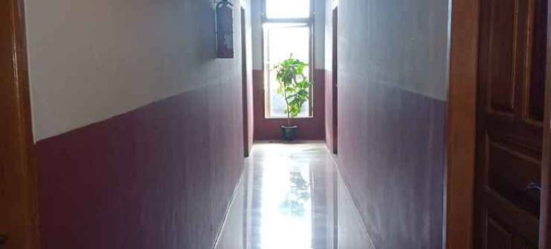 赛梅鲁酒店(Hotel Semeru Bogor)图片