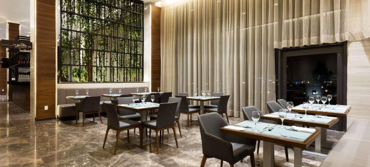 梅尼达希尔顿花园酒店(Hilton Garden Inn Merida)图片