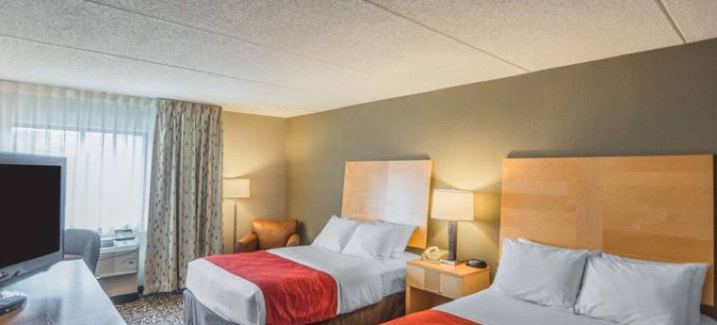 纽约州游乐场舒适酒店(Comfort Inn - Nys Fairgrounds)图片