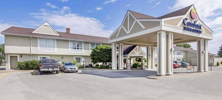 舒适套房酒店(Comfort Inn & Suites)图片