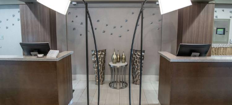 芝加哥绍姆堡伍德菲尔德希尔顿安泊酒店(Embassy Suites by Hilton Chicago Schaumburg Woodfield)图片