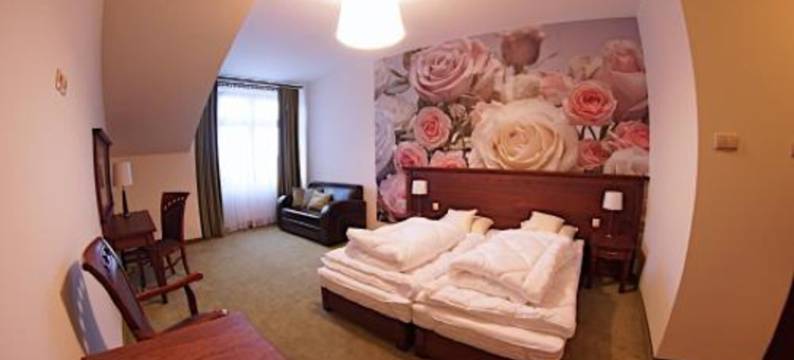 缅济热奇尼欧酒店(Hotel Neo Międzyrzecz)图片