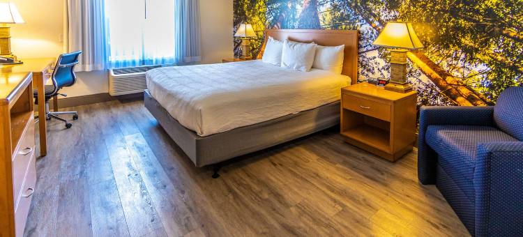 The Hanford Hotel图片