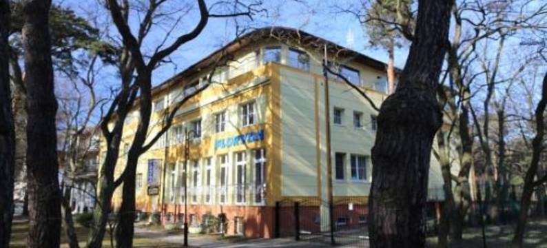 Floryda Jurata图片