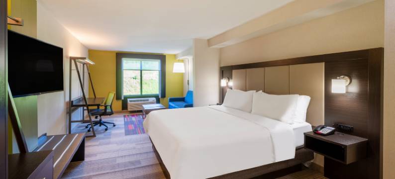 IHG旗下东北(伊利)智选假日酒店及套房(Holiday Inn Express & Suites NORTH EAST (ERIE I-90 EXIT 41) by IHG)图片