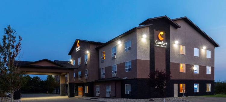 舒适套房酒店(Comfort Inn & Suites)图片