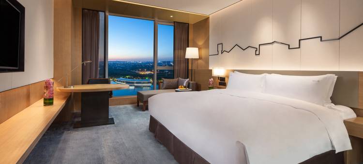 南京上秦淮假日酒店图片