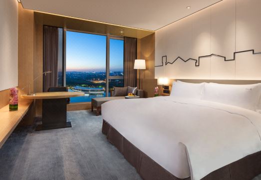 Holiday Inn Nanjing Qinhuai South Hotel Overview