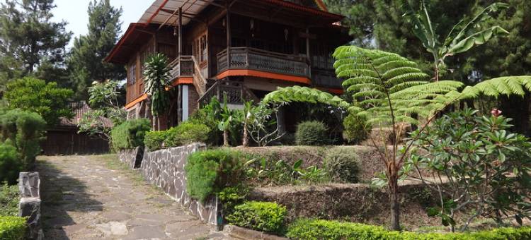 9 Pakis Villa Kayu图片