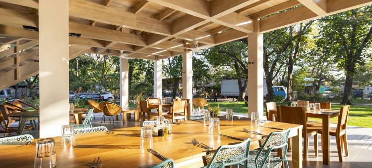 格莱迪伊瓜纳冲浪酒店(The Gilded Iguana)图片