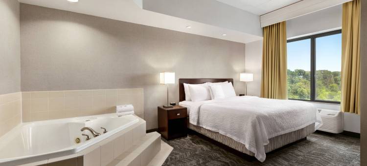 杜勒斯机场 SpringHill Suites 万豪酒店(SpringHill Suites Dulles Airport)图片