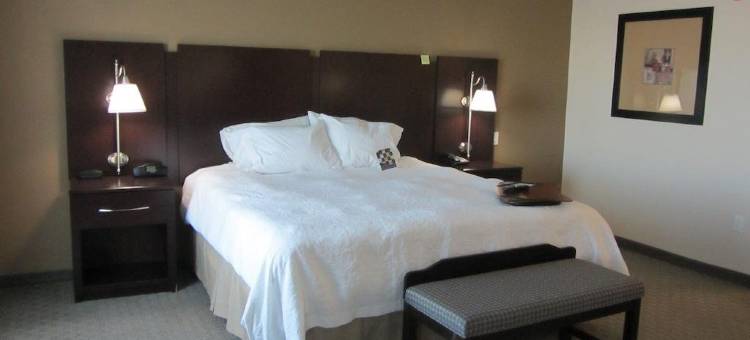 杜马斯希尔顿欢朋旅馆&套房酒店(Hampton Inn & Suites Dumas)图片