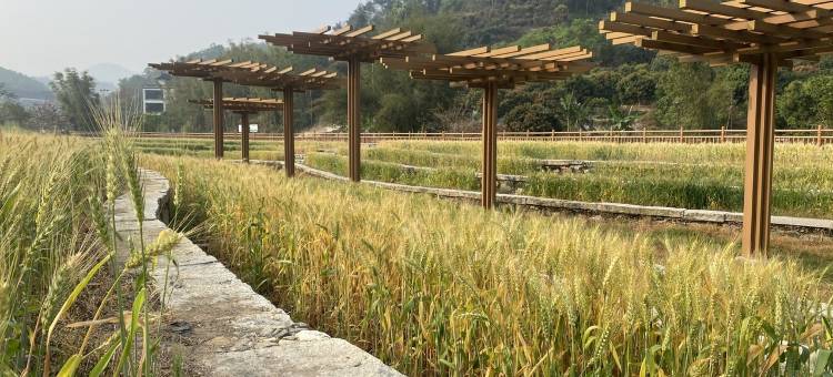 田馨小院民宿(罗洞工匠小镇店)图片