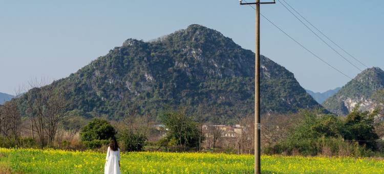 找稻田・喜看稻菽|自在方外・270°环山观景度假美宿(芦笛景区店)图片