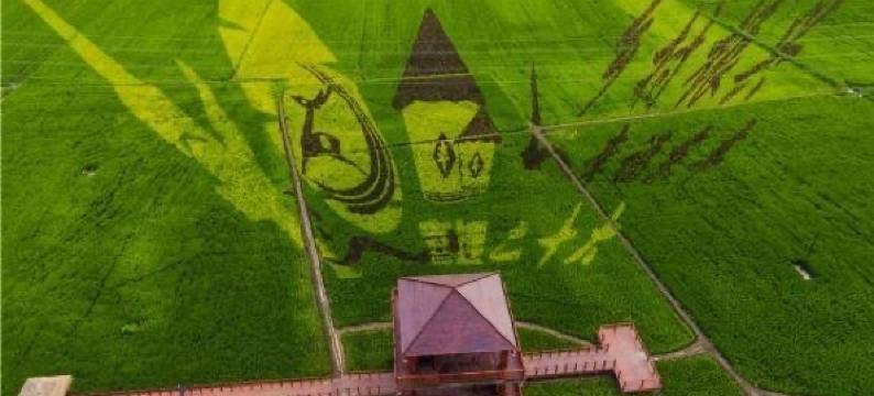 东丰鹿鸣日租房民宿(锦绣街店)图片