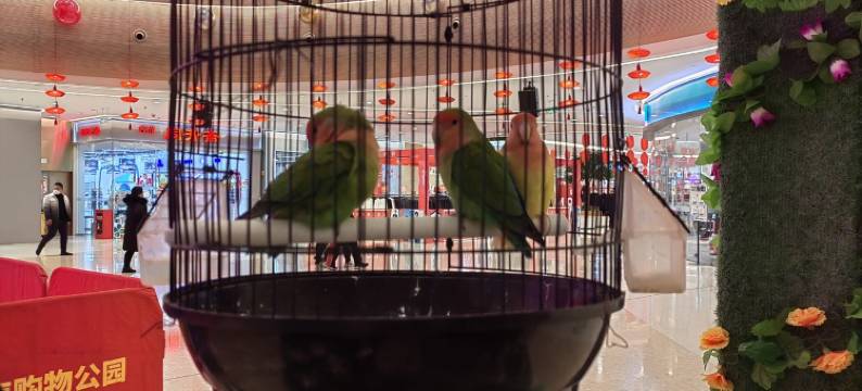 吉祥如意美居公寓(泰山大街1号分店)图片