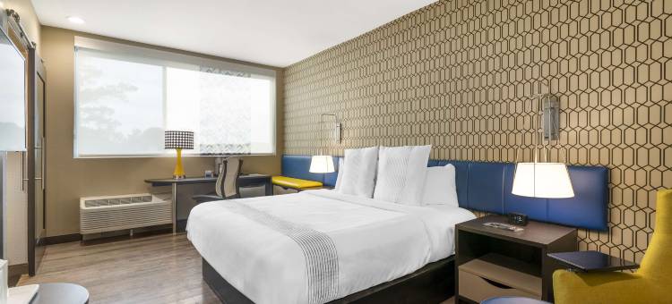 GLō Best Western Pooler - Savannah Airport Hotel图片