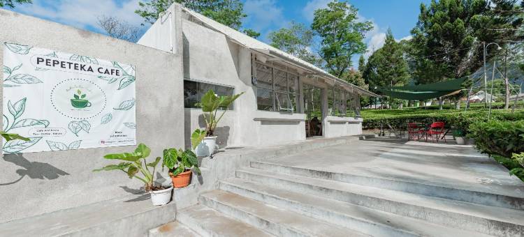 红门伊斯兰教义酒店-甘榜奇维迪(RedDoorz Syariah @ Gambung Ciwidey)图片