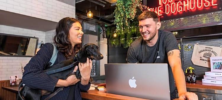 BrewDog DogHouse Manchester 酿酒狗曼彻斯特之家(BrewDog DogHouse Manchester)图片