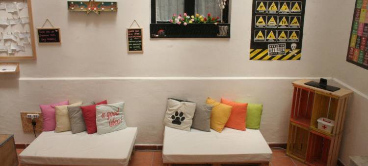 城市绿洲青年旅馆(Urban Oasis Hostel)图片
