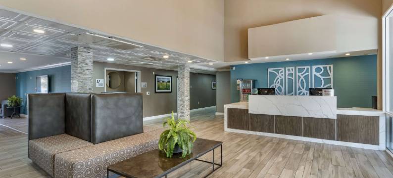 葡萄园贝斯特韦斯特优质酒店(Best Western Plus Vineyard Inn)图片