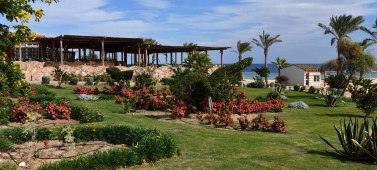 瓦迪拉米海岸度假村(Wadi Lahmy Azur Resort - Soft All-Inclusive)图片