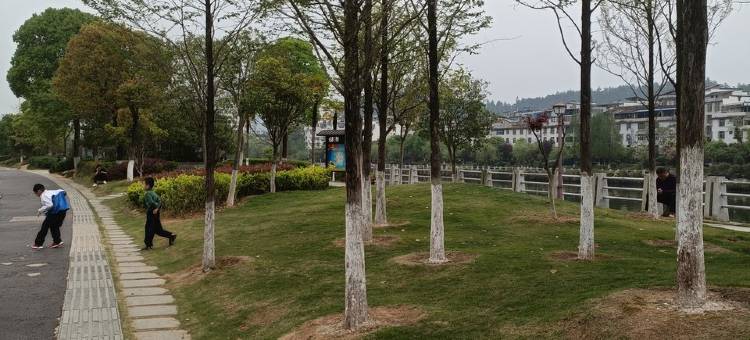 泰宁蔚兰小院民宿(古城店)图片