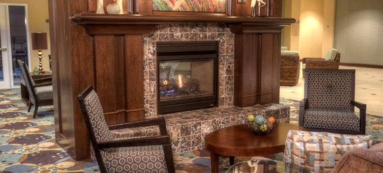 康瑟尔布拉夫斯奥马哈东希尔顿花园酒店(HIlton Garden Inn Omaha East/Council Bluffs)图片