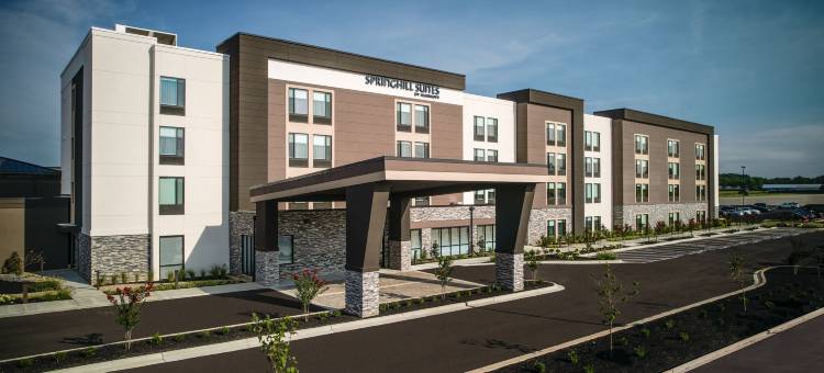 春丘-富兰克林明特分店(SpringHill Suites Franklin Mint)图片