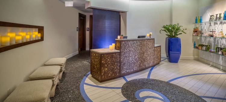 奥兰多邦内溪温德姆格兰德度假酒店(Wyndham Grand Orlando Resort Bonnet Creek)图片