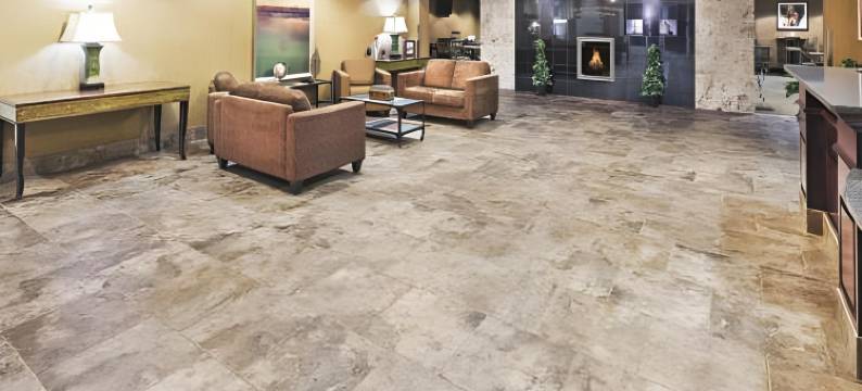 迪金森拉昆塔温德姆套房酒店(La Quinta Inn & Suites by Wyndham Dickinson)图片