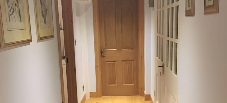 8只猫头鹰民宿(8 Owls B&B)图片