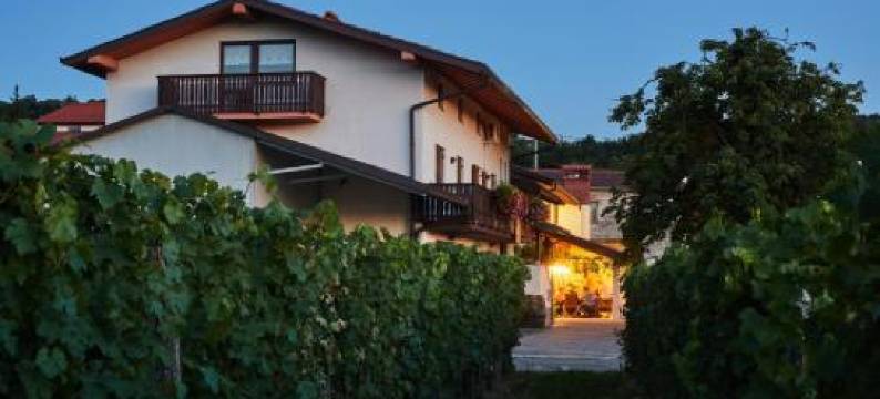 Ferjančič Estate Rooms图片