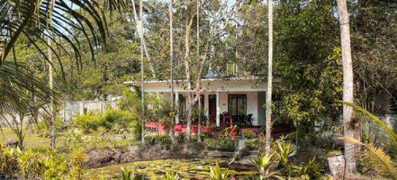 Marari Ebin Charlys图片