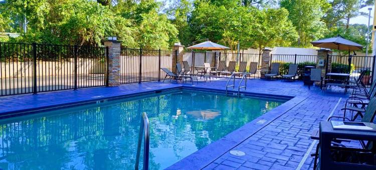 莫比尔西- I-10智选假日套房酒店(Holiday Inn Express & Suites MOBILE WEST - I-10 by IHG)图片