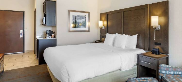 布赖顿丹佛东北医疗中心舒适套房酒店(Comfort Inn & Suites Brighton Denver NE Medical Center)图片