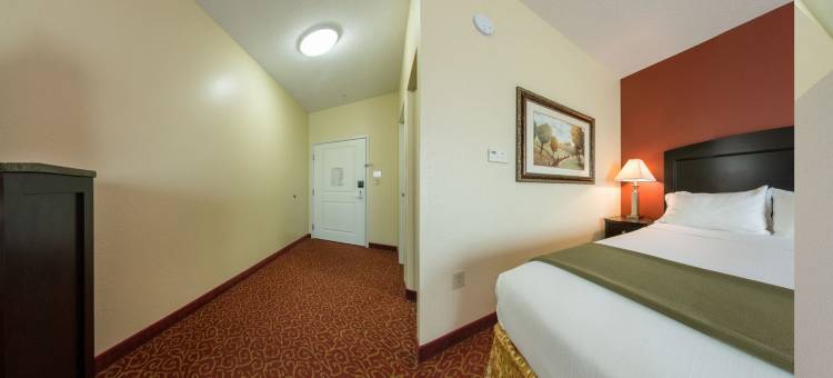 智选假日套房酒店达利亚(Holiday Inn Express & Suites Vandalia)图片