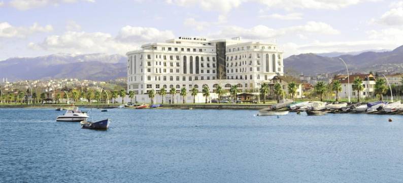 名门豪华酒店(Wellborn Luxury Hotel)图片