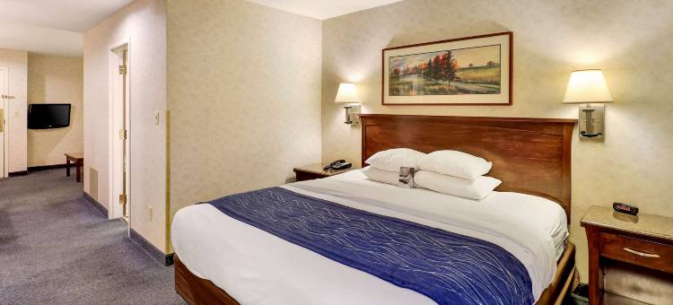 贝灵厄姆舒适酒店(Comfort Inn Bellingham)图片