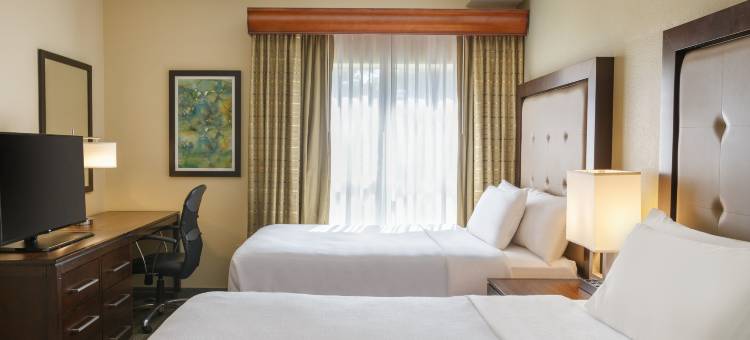 Homewood Suites by Hilton-清水(Homewood Suites by Hilton St. Petersburg Clearwater)图片