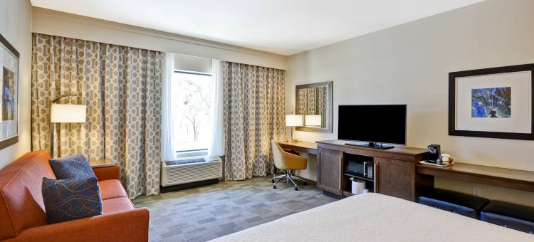 达拉斯-普莱诺东欢朋套房酒店(Hampton Inn & Suites Dallas/Plano-East)图片