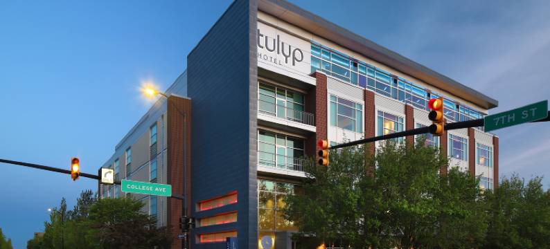 郁金香酒店 - 希尔顿启缤精选酒店(Tulyp, Tapestry Collection by Hilton)图片