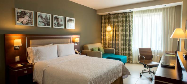 梅尼达希尔顿欢朋酒店(Hampton Inn by Hilton Merida)图片