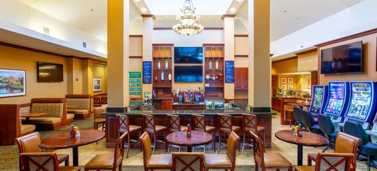密尔沃基西北会议中心希尔顿花园酒店(Hilton Garden Inn Milwaukee Northwest Conference Center)图片