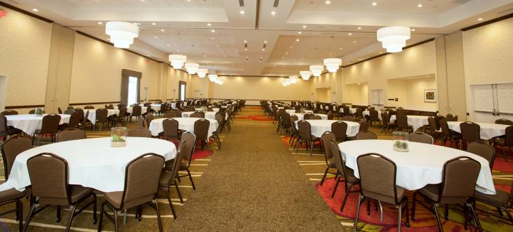 圣安东尼奥-利夫奥克会议中心希尔顿花园酒店(Hilton Garden Inn San Antonio/Live Oak)图片