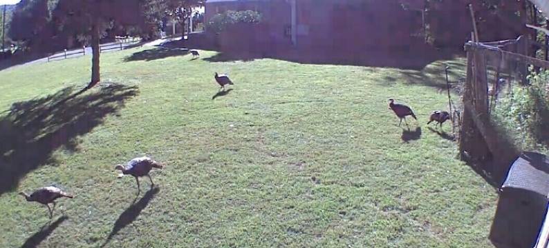 Waterfront River Home Near Asheville, Dog Friendly图片
