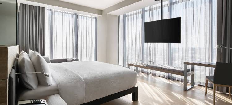 维拉克斯AC酒店(AC Hotel Veracruz)图片