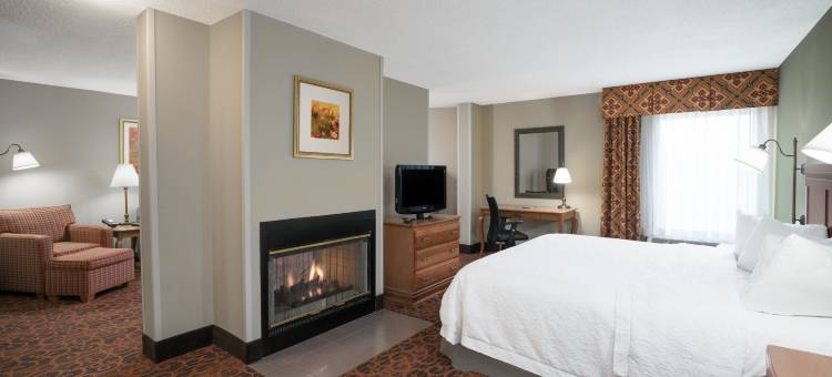 希尔顿巴兹敦Spark酒店(Hampton Inn Bardstown)图片