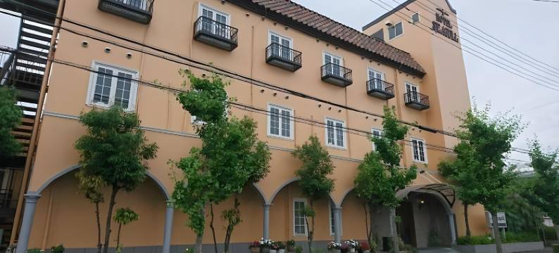 海鸥酒店(Hotel Seagull)图片